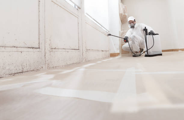 24/7 Emergency Black Mold Remediation experts in Coal Township, PA